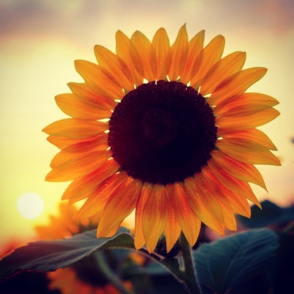 Meet your Posher, Claudia - Picture 3 of 7